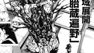 羂索の領域展開“胎蔵遍野”