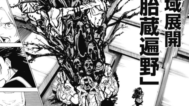 羂索の領域展開“胎蔵遍野”