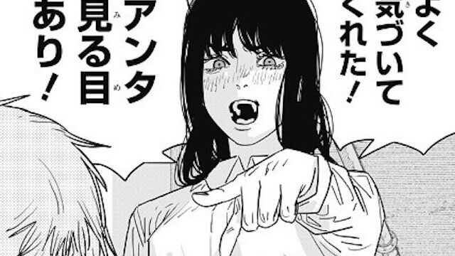 chain116-image2