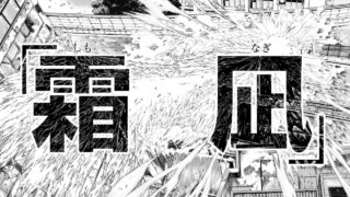 霜凪を放つ裏梅