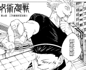 jujutsu229-img3