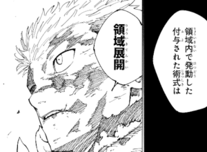 jujutsu264-img2