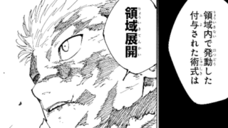 jujutsu264-img2